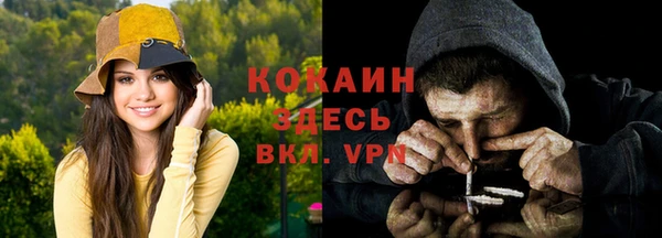 прущие грибы Аркадак