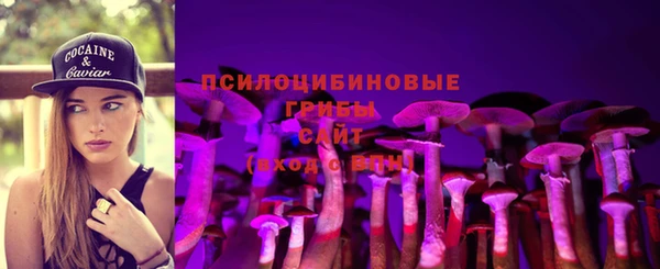 прущие грибы Аркадак