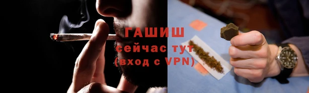 прущие грибы Аркадак