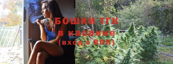 прущие грибы Аркадак