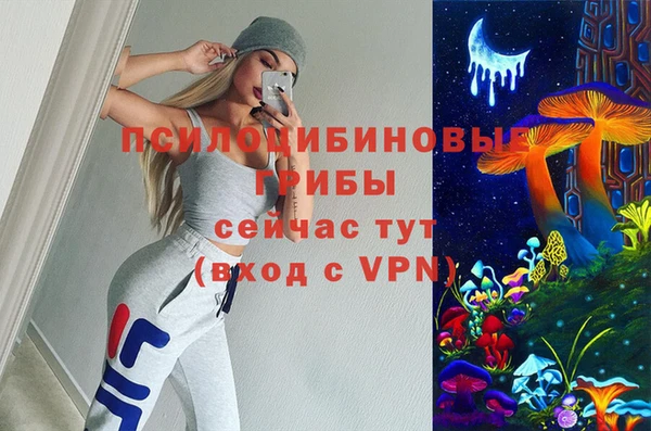 прущие грибы Аркадак