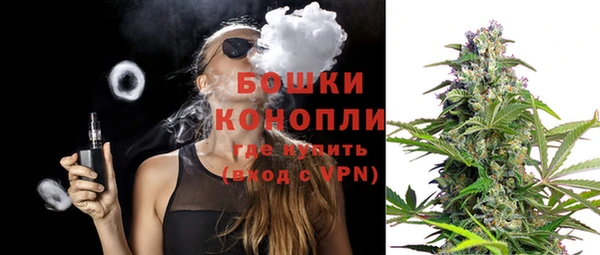 прущие грибы Аркадак