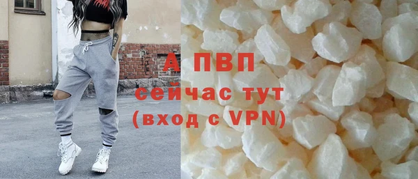 винт Арсеньев