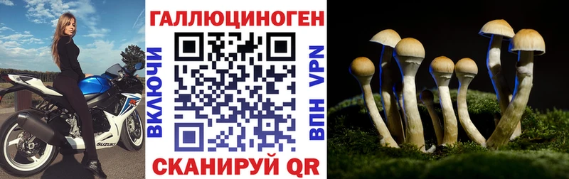Купить  Россошь  Псилоцибиновые грибы мицелий 